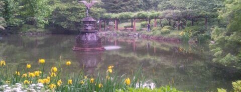 雲形池 is one of 公園.