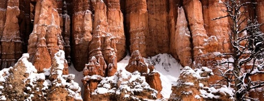 Bryce Canyon National Park is one of National Parks.