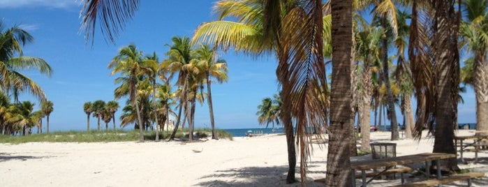 Village of Key Biscayne is one of Kashさんのお気に入りスポット.