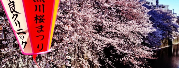 Meguro River Cherry Trees is one of Lieux sauvegardés par Anton.