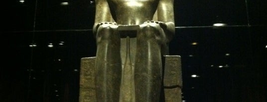 Egyptian Museum is one of Top 10 favorites places in Torino, Italia.