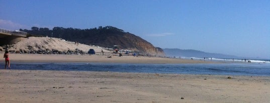 Torrey Pines State Beach is one of SoCal Musts.