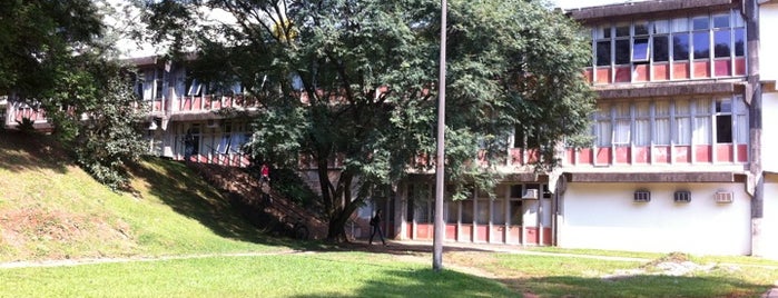 Faculdade de Filosofia, Letras e Ciências Humanas (FFLCH-USP) is one of Locais curtidos por Eloiza.
