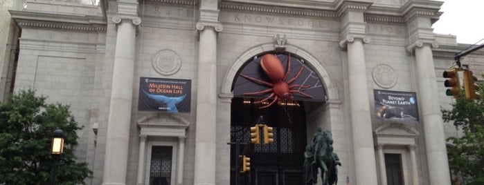 American Museum of Natural History is one of SB13.