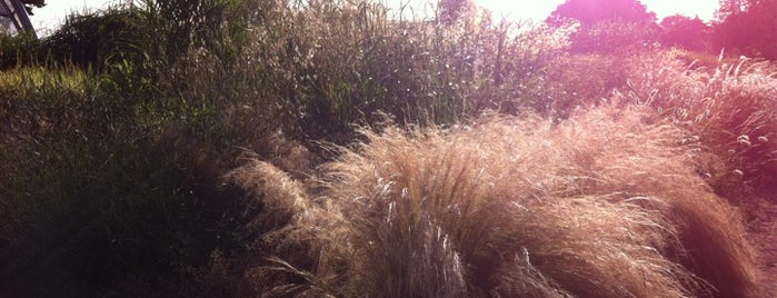 Grass Garden is one of Tempat yang Disukai Ralph.