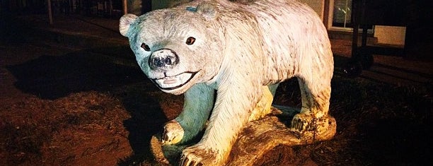 Polar bear is one of RVA Adventures & Scavenger Hunt.
