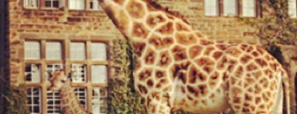 Giraffe Manor is one of World.