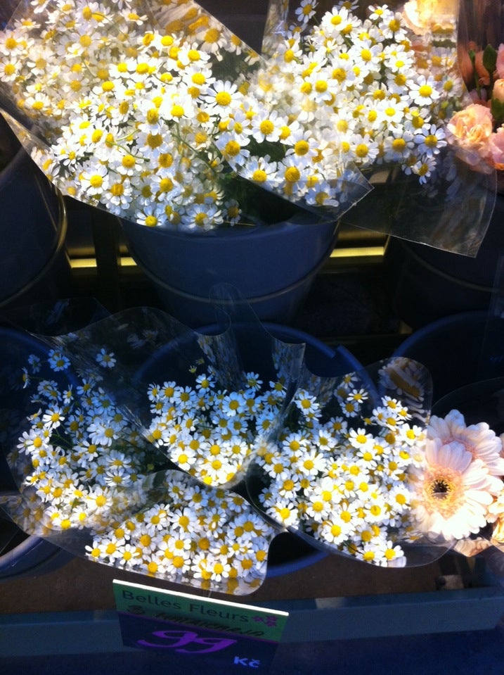 flower-shop