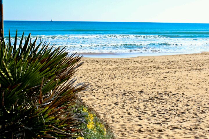 beach