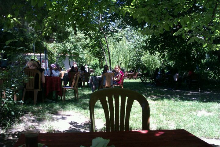 cafe