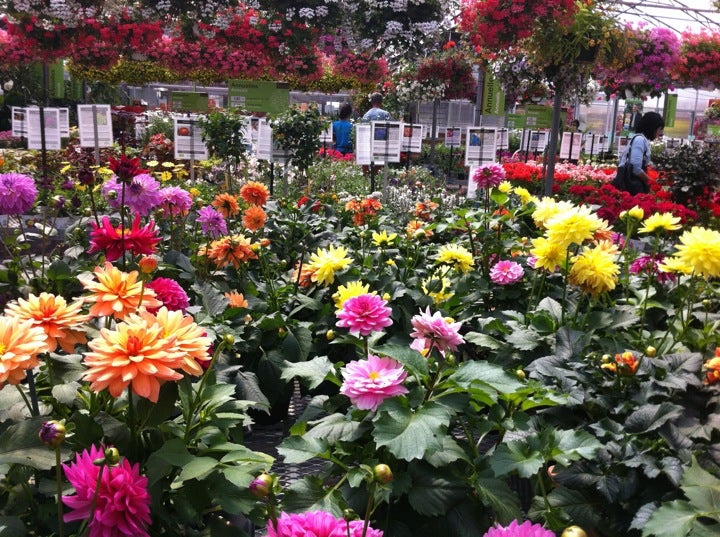 garden-center