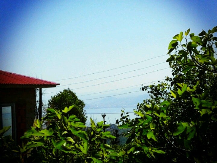 mountain
