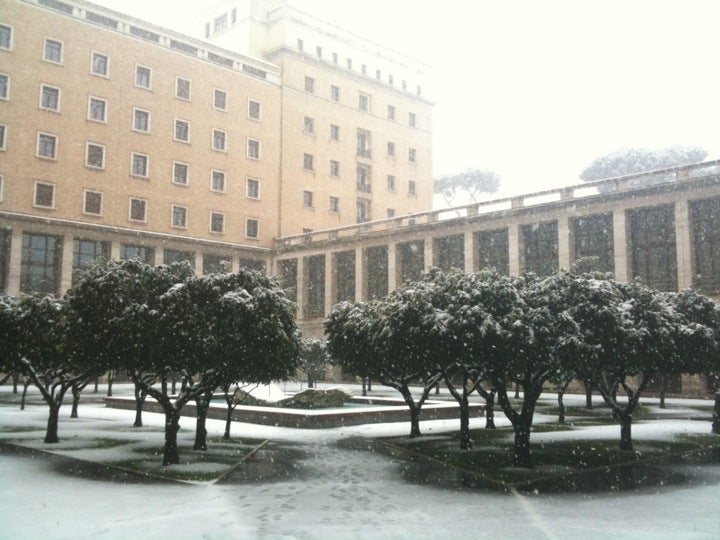 general-college-university