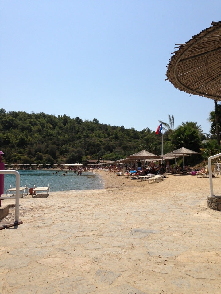 beach
