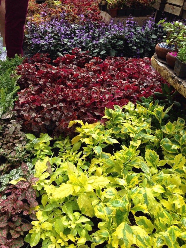 flower-shop