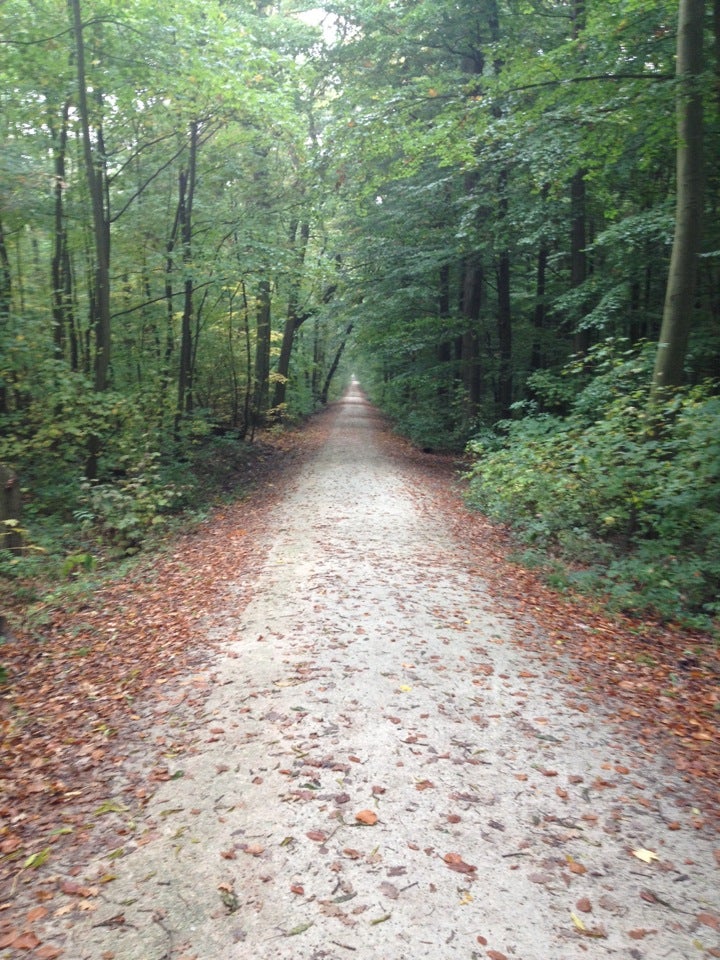 trail