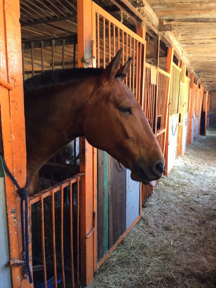 stables