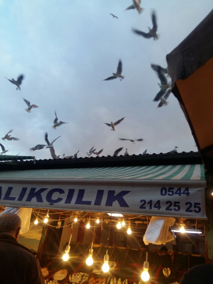 fish-chips-shop
