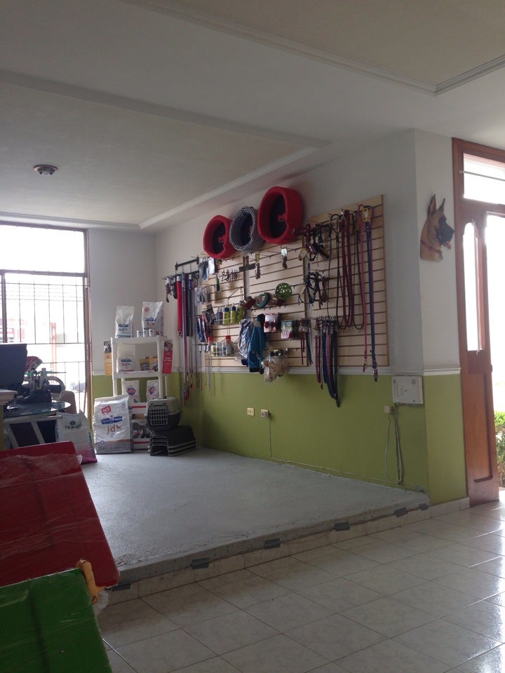 veterinarian