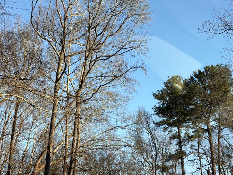 Chattahoochee River — Cochran Shoals