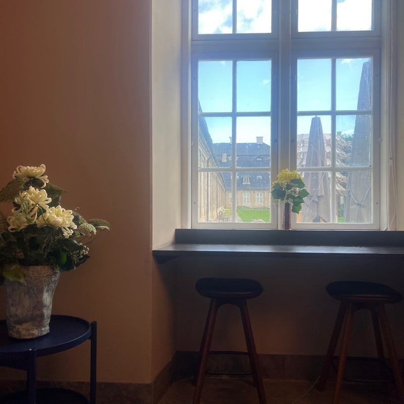 Møns Klint & Waldturm: Tagesausflug von Kopenhagen – Bild 6