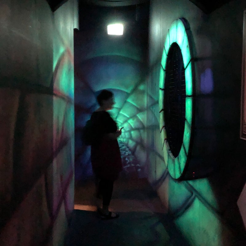 Ripley's Believe It or Not! 4-Wege-Kombiticket 1 Jahr – Bild 1