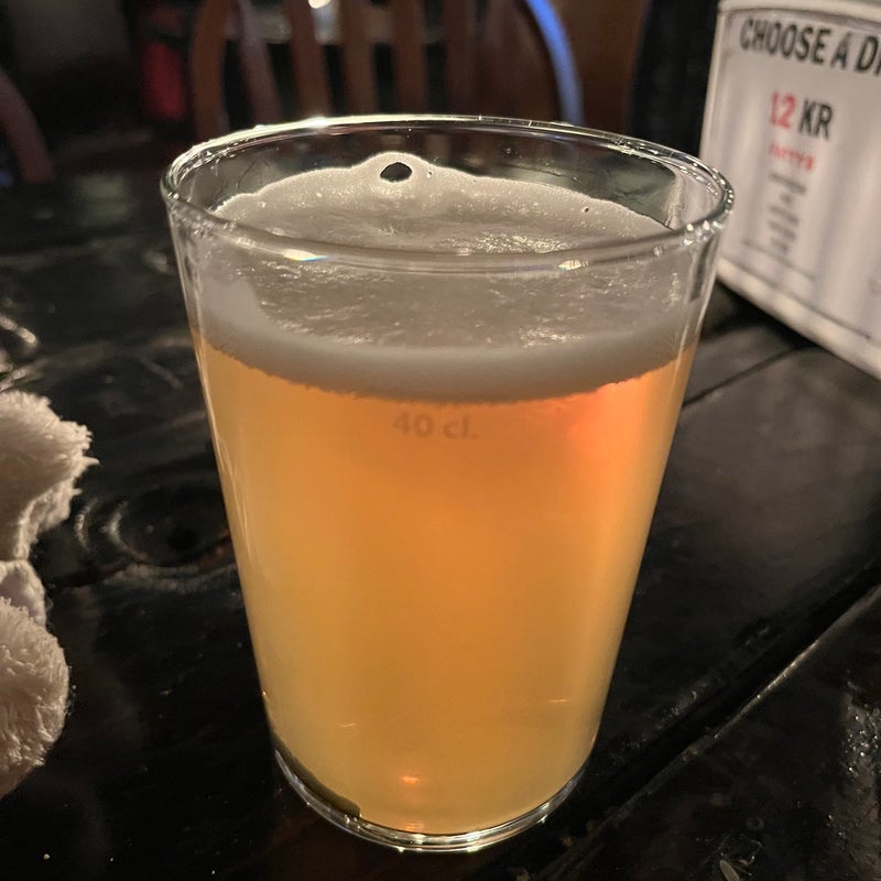 Kopenhagen Craft Beer-Rundgang Stadtzentrum – Bild 2