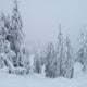 Cypress Mountain Ski area