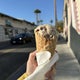 The 15 Best Ice Cream Parlors in Los Angeles