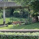 The 15 Best Zoos in St Louis
