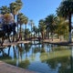 The 15 Best Places for Picnics in Phoenix