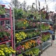 The 15 Best Flower Stores in Brooklyn