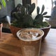 The 15 Best Places for Iced Coffee in Los Angeles