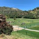 The 15 Best Places for Dog Park in Los Angeles