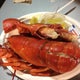 The 15 Best Places for Lobster in New York City