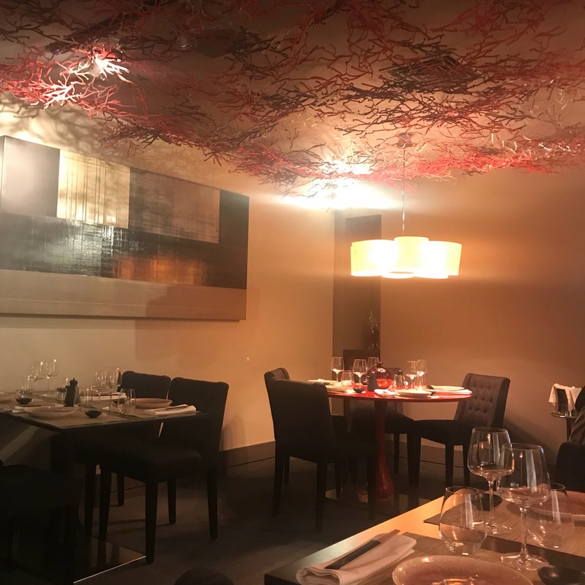 Shikku - Japanese Restaurant,Japanese,Sushi Bars - restaurants,bar,desserts,quiet,truffles,bull,hamachi,butterfish