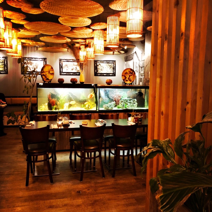 My Anh - Vietnamese Restaurant - 