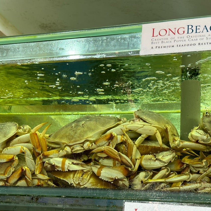 Long Beach Udmc Seafood Restaurant - Chinese Restaurant,Seafood Restaurant - lunch,wine,parking,park,spicy food,outdoor seating,dinner,great value,crab,chili,garlic sauce,good for groups,mango desserts,sea breeze,kailan,creator