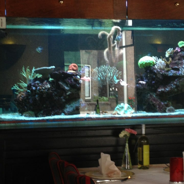 Hu's Garden Chinees-Aziatisch Restaurant - Chinese Restaurant - good service,great value