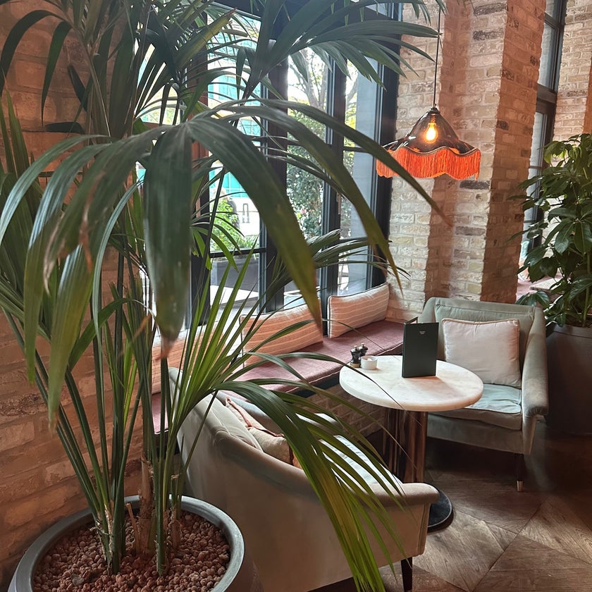 Albie - Restaurant - 