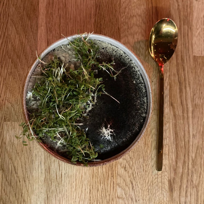 Skál! - Restaurant - desserts,small plates,trendy,goat cheese,Arctic char,cod croquettes