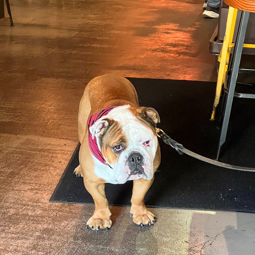Uno Dos Tacos - Latin American Restaurant,Taco Restaurant,Mexican,Bars,Salad - meats,salads,well,lunch,vegetables,healthy food,tacos,outdoor seating,liquor,dinner,crowded,bacon,happy hour,margaritas,salsa,good for a quick meal,quick service,good for groups,agua fresca