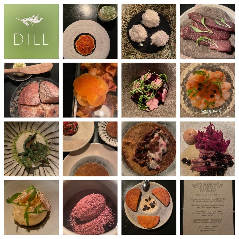 Dill Restaurant - Scandinavian Restaurant - restaurants,bar,staff,healthy food,chocolate,dinner,quiet,fresh food,great value,gardens,garlic,onions,chefs,trendy,good for dates,pickles,tasting menu,good for business meetings,good for special occasions,buttermilk,variations,dill,rhubarb
