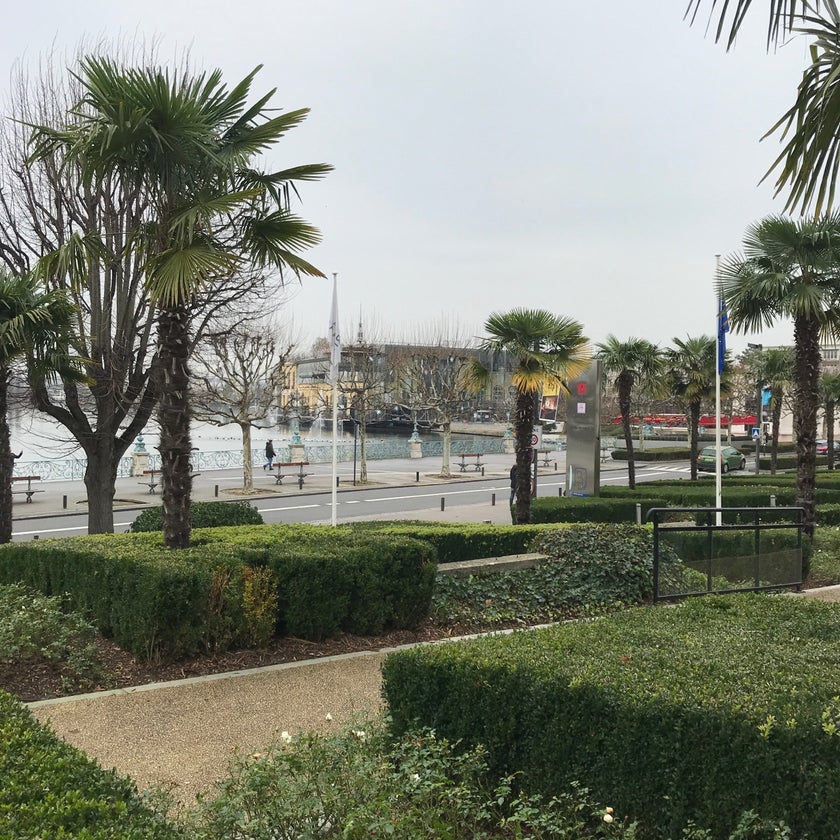 Café du Lac - Café,Restaurant - 