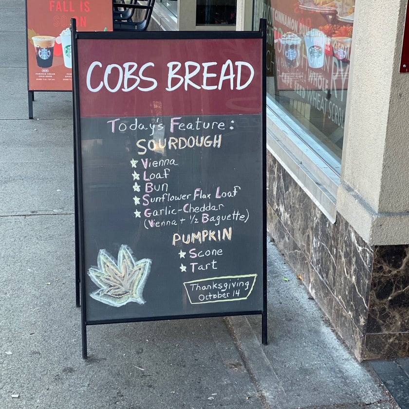 Cobs Bread - Bakery,Bakeries - restaurants,pastries,bread,pumpkin,tarts,stew,cinnamon rolls,cape seed loaf