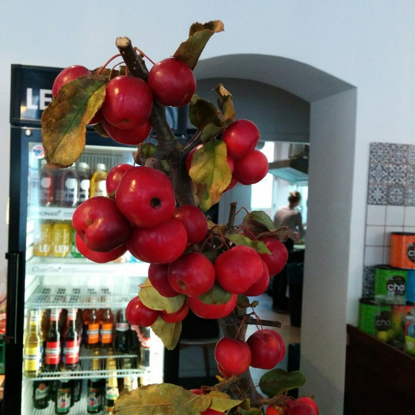 Cafe Bondi - Café,Breakfast & Brunch,Cafes - restaurants,coffee,friendly staff,breakfast food,sandwiches,cheese,salads,lunch,brunch food,healthy food,cake,eggs,great value,avocado,tomatoes,cheesecake,hospital,trendy,good for a quick meal,bright,baguettes