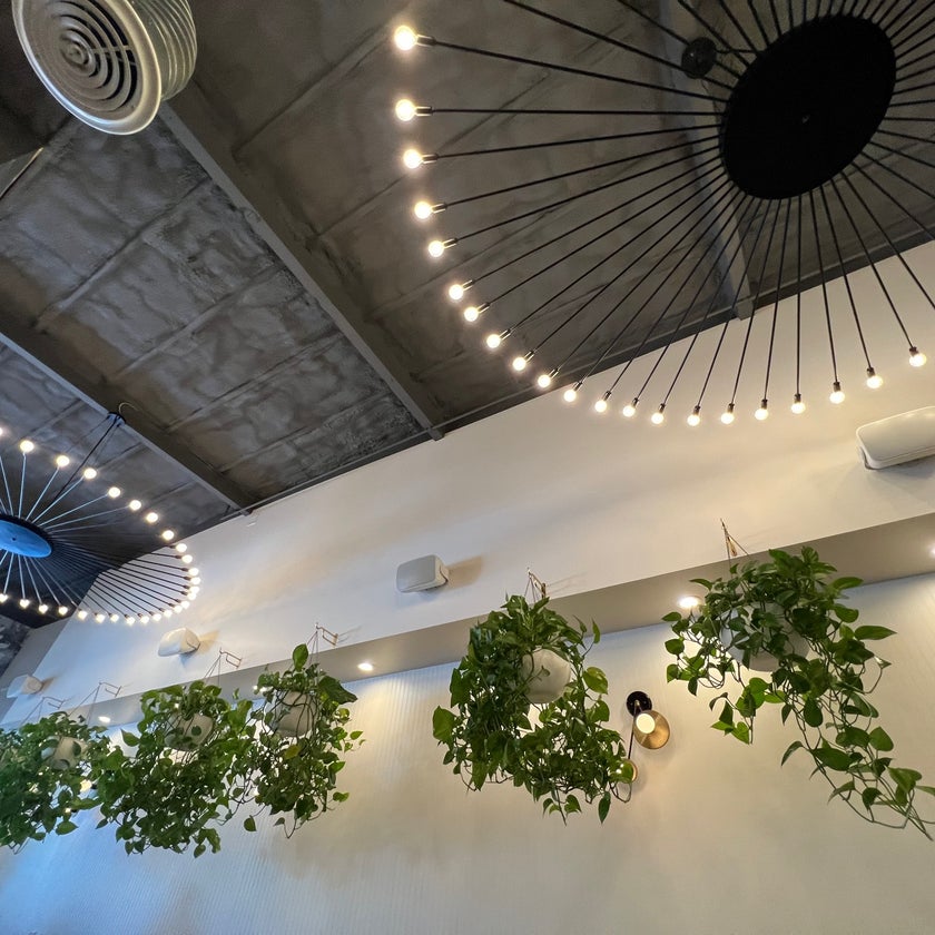 Bloom - Cocktail Bar,American Restaurant - 
