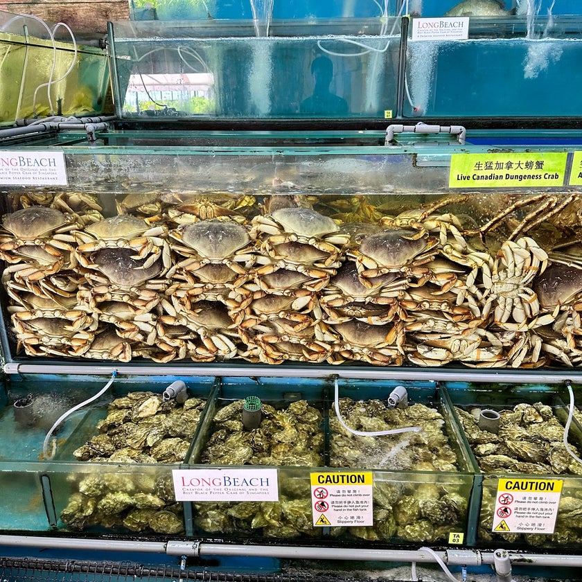 Long Beach Udmc Seafood Restaurant - Chinese Restaurant,Seafood Restaurant - lunch,wine,parking,park,spicy food,outdoor seating,dinner,great value,crab,chili,garlic sauce,good for groups,mango desserts,sea breeze,kailan,creator