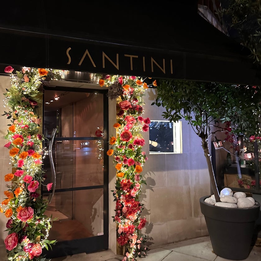 Santini - Italian Restaurant,Italian - bar,Italian food,salads,lunch,healthy food,outdoor seating,liquor,dinner,quiet,takes reservations,mushrooms,good for dates,truffles,risotto,parmigiana,carpaccio,good for business meetings,good for special occasions,lasagne,al fresco,pomodoro,zucchini flowers,sautéed spinach