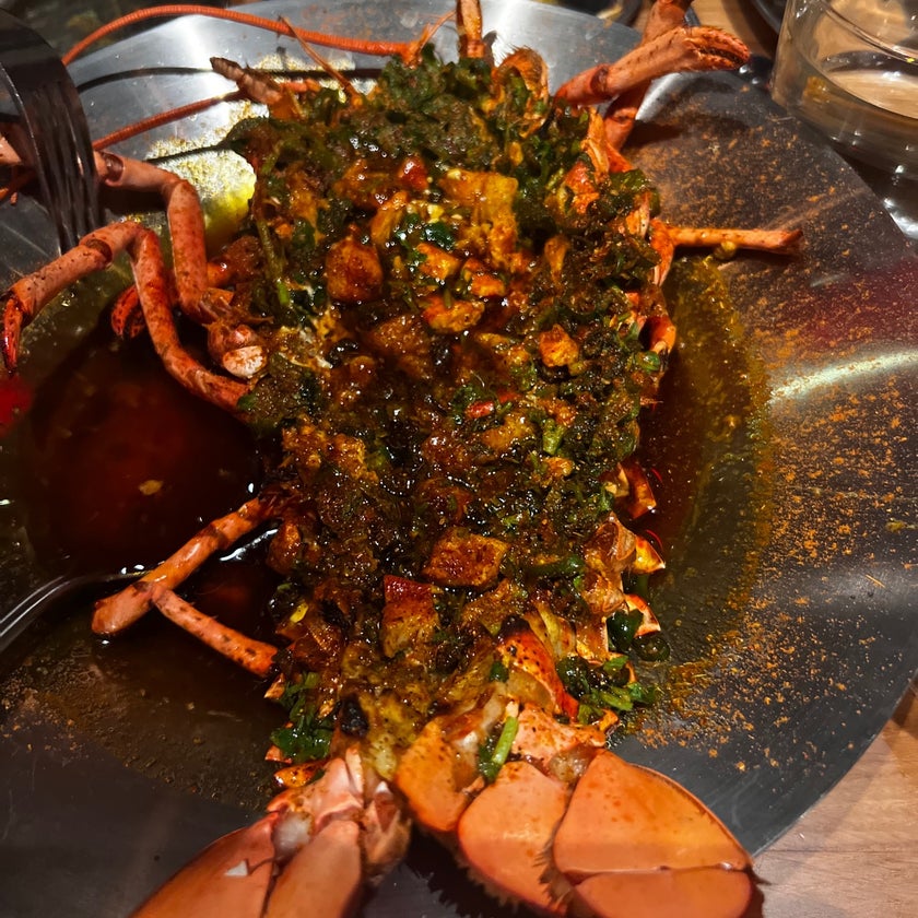 Dhamaka - Indian Restaurant,Indian - restaurants,bar,bread,city,dinner,crowded,curry,potatoes,appetizers,states,village,biryani,paneer,parathas,chicken pulao
